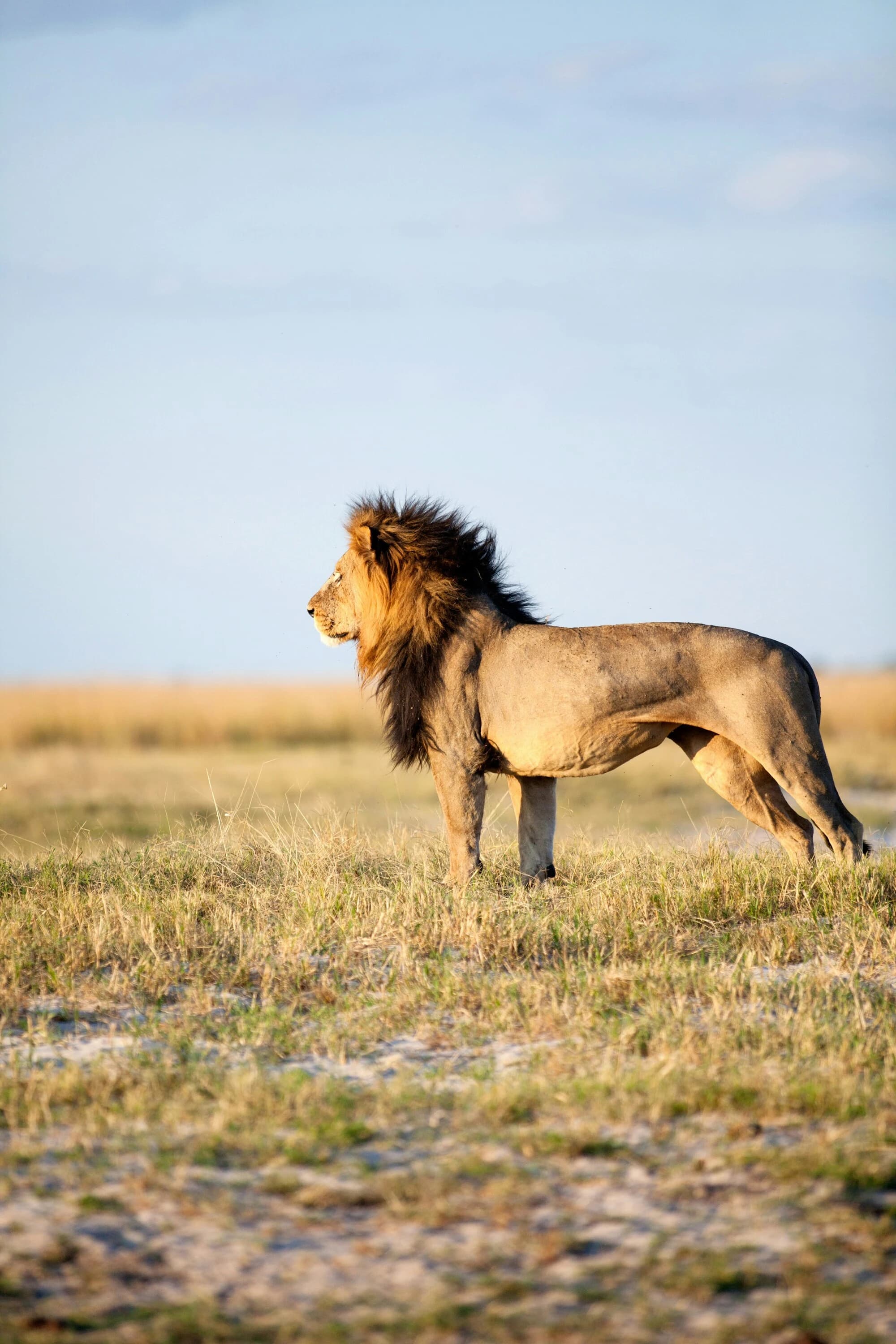 3 Days Tsavo East And Tsavo West Safari - Safari Package